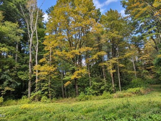 Land for sale in Richmond, West Stockbridge