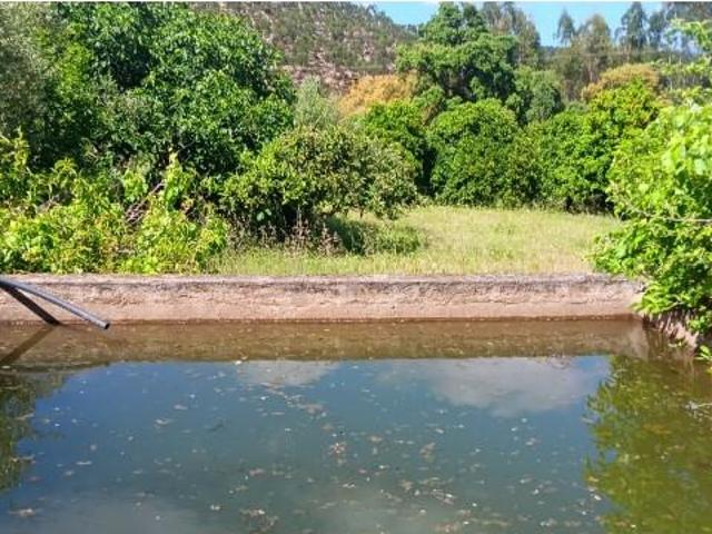 Terreno venda em Mação, Santarém