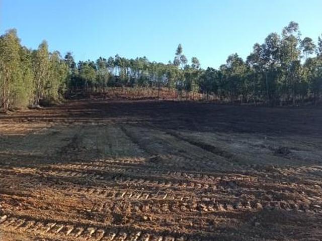 Terreno venda em Mação, Santarém
