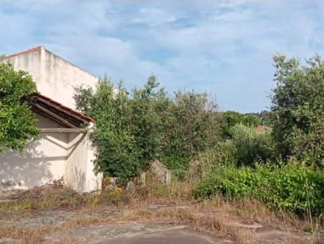 Terreno venda em Mação, Santarém