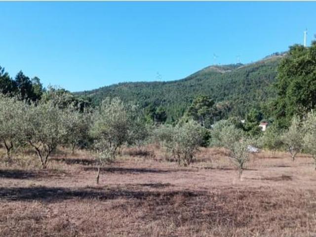 Terreno alugar em Mação, Santarém