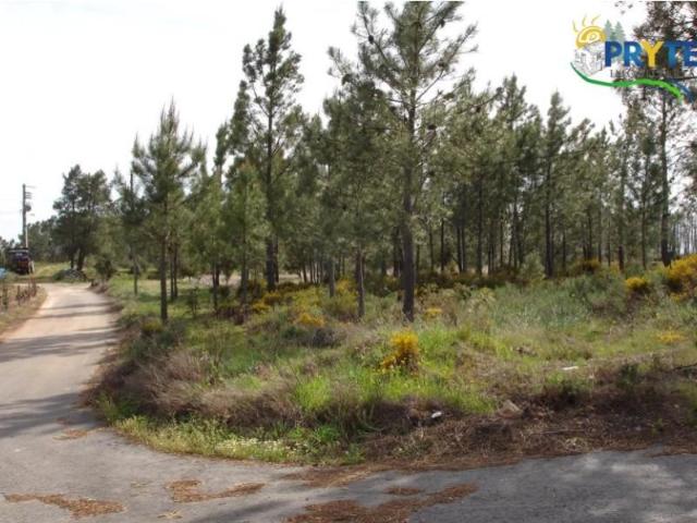 Terreno venda em Mação, Santarém