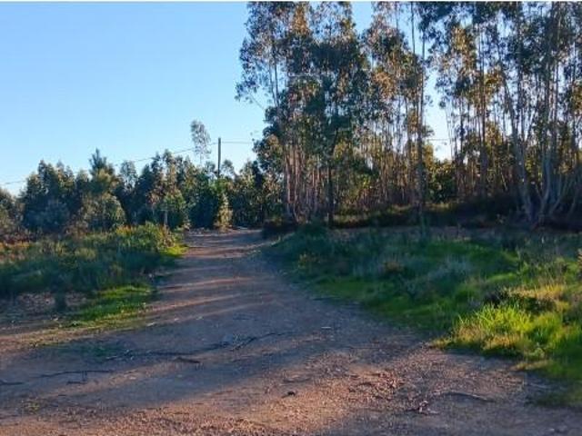 Terreno venda em Mação, Santarém