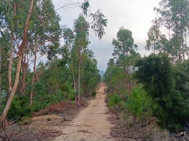 Terreno venda em Mação, Santarém