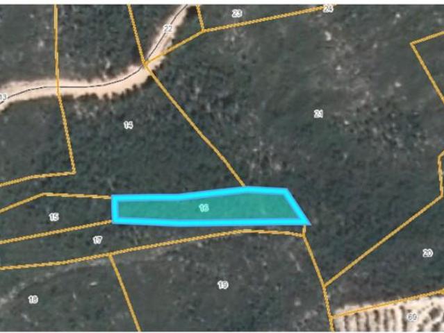 Terreno venda em Mação, Santarém