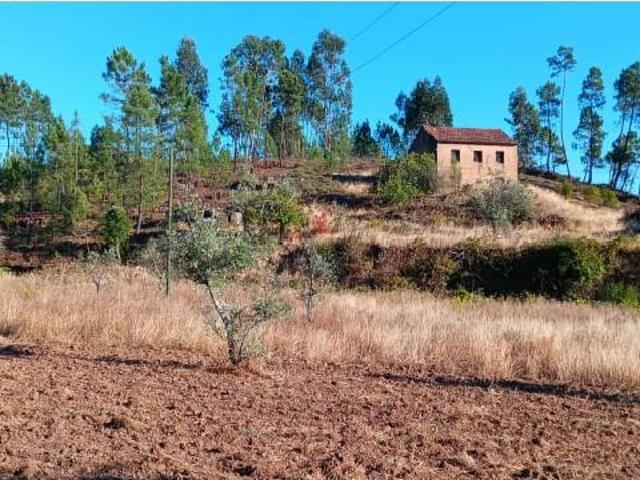 Terreno alugar em Mação, Santarém