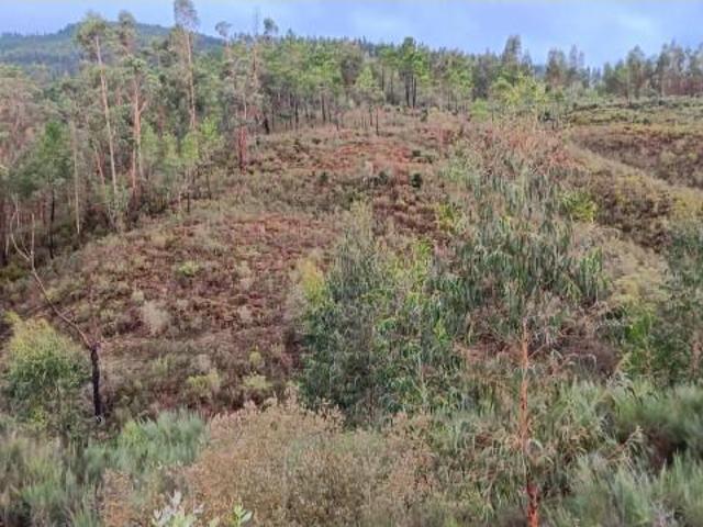 Terreno venda em Mação, Santarém