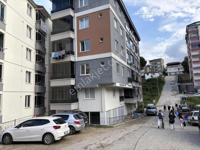 Ordu içerisinde kiralık mülk