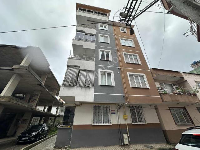 Ordu içerisinde kiralık mülk