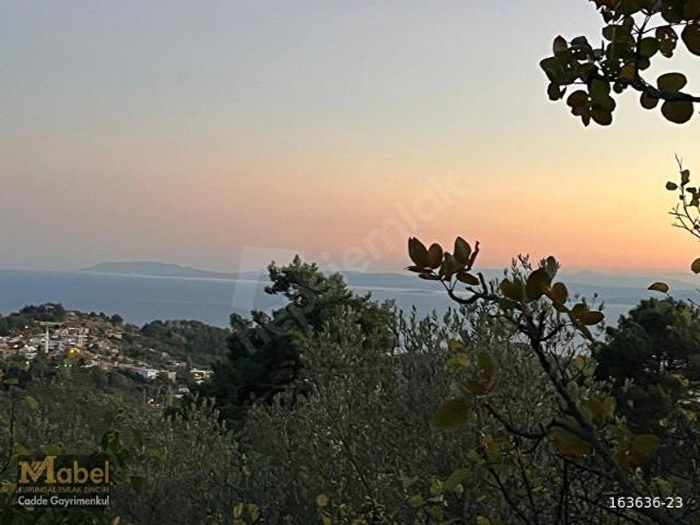 Sazlı, Ayvacık içerisinde satılık Arsa