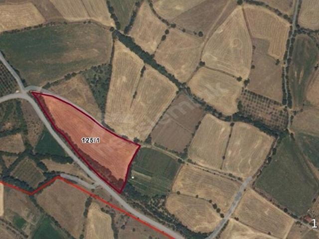 Erzincan Merkez, Erzincan içerisinde satılık Arsa