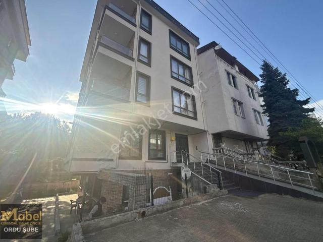 Ordu içerisinde kiralık mülk