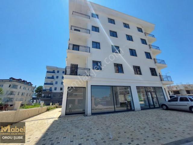 Ordu içerisinde kiralık mülk