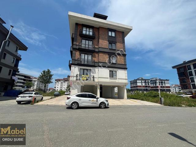 Ordu içerisinde kiralık mülk