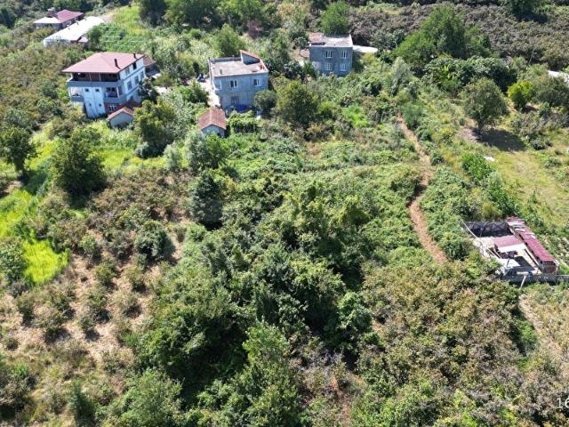 Ordu içerisinde satılık Dükkan