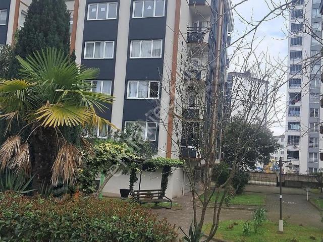 Ordu içerisinde kiralık mülk