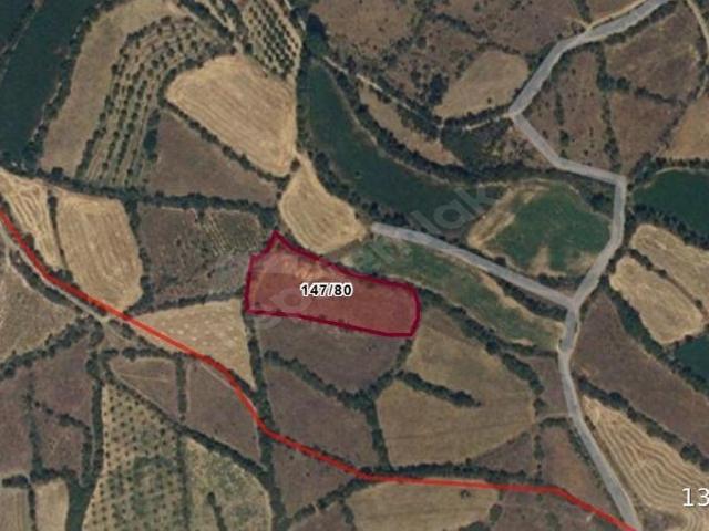 Erzincan Merkez, Erzincan içerisinde satılık Arsa