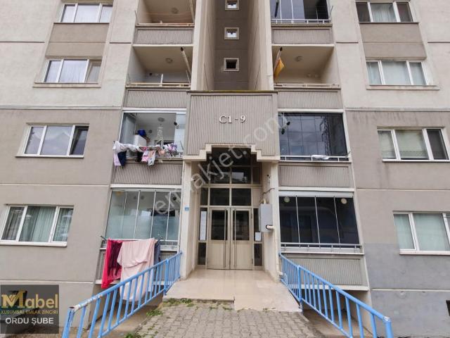 Ordu içerisinde kiralık mülk