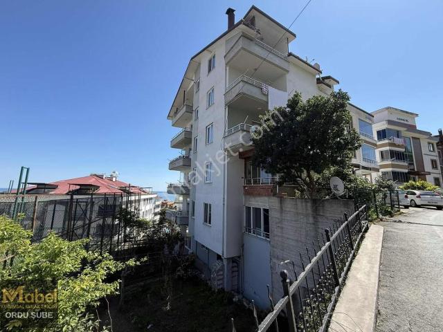 Ordu içerisinde kiralık mülk