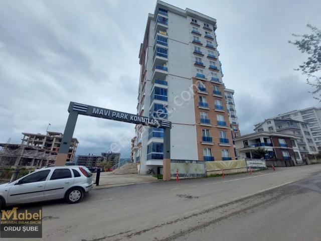 Ordu içerisinde kiralık mülk