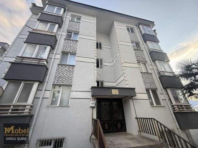 Ordu içerisinde kiralık mülk