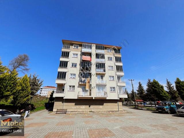 Ordu içerisinde satılık mülk