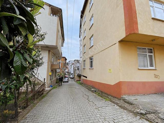 Ordu içerisinde kiralık mülk