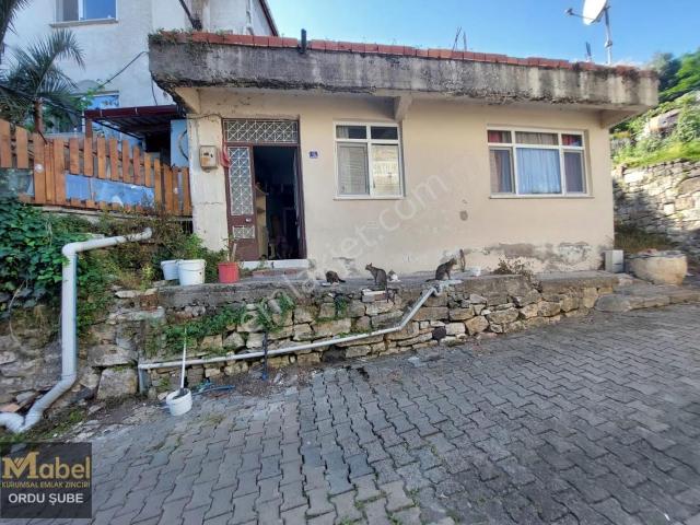 Ordu içerisinde satılık mülk