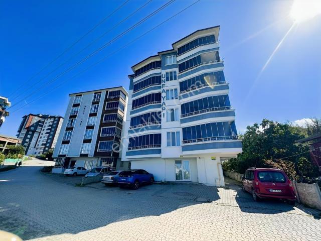 Çamurlu Mahallesi, Ünye içerisinde kiralık mülk