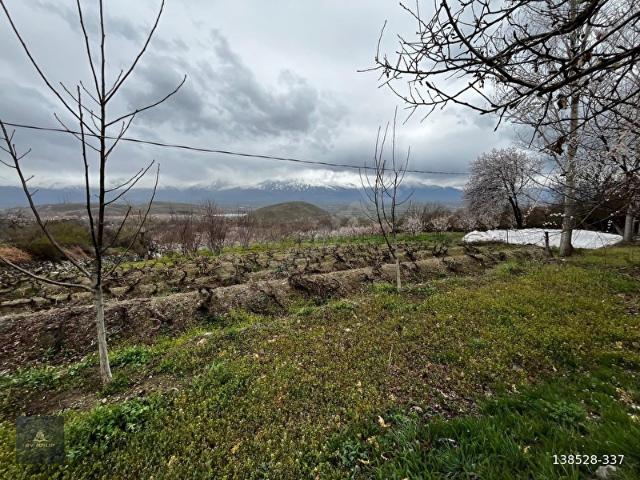 Üzümlü, Erzincan içerisinde satılık mülk