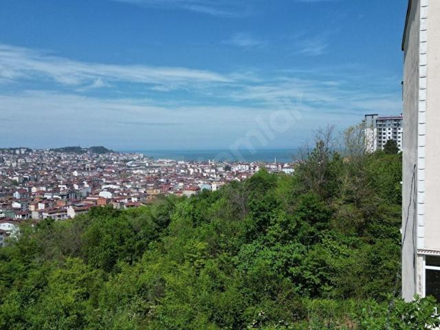 Bayramca Mahallesi, Ünye içerisinde satılık Arsa