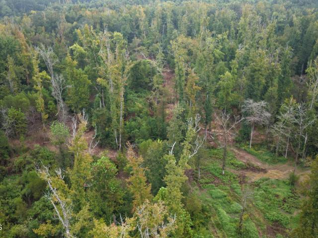 Land for sale in Maben, Oktibbeha County