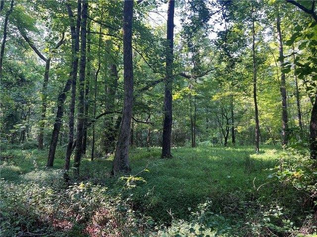 Land for sale in Temple, Georgia