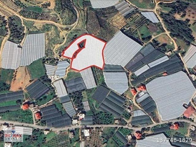 Gazipaşa, Antalya içerisinde satılık Arsa