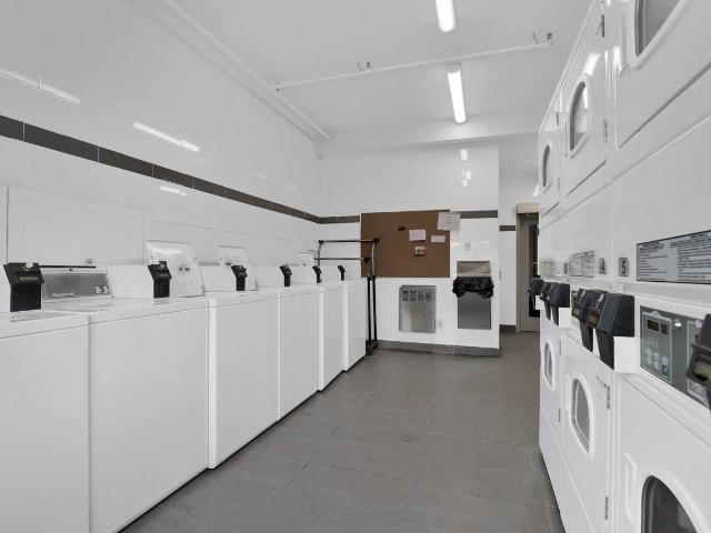 Apartment for rent in Kingston, Ontario