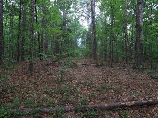 Land for sale in Virginia