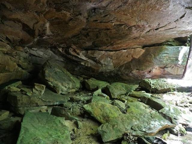 Land for sale in Double Springs, Alabama
