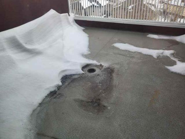 Apartment for rent in Rolly View, Alberta