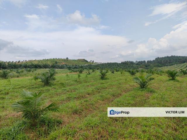Shop for sale in Malaka