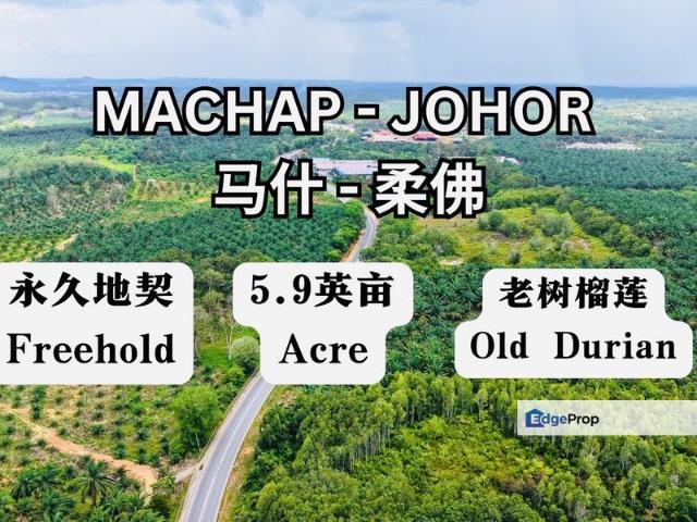 Shop for sale in Rengam, Johor