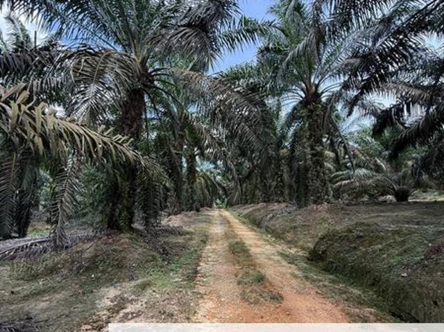 Shop for sale in Rengam, Johor
