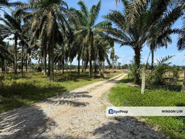 Shop for sale in Rengam, Johor