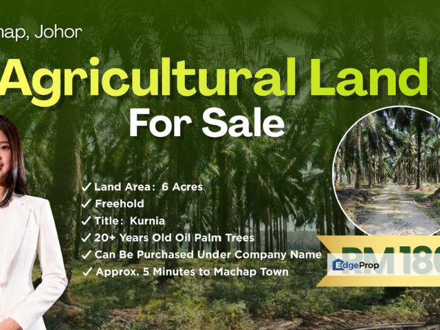 Warehouse for sale in Kluang