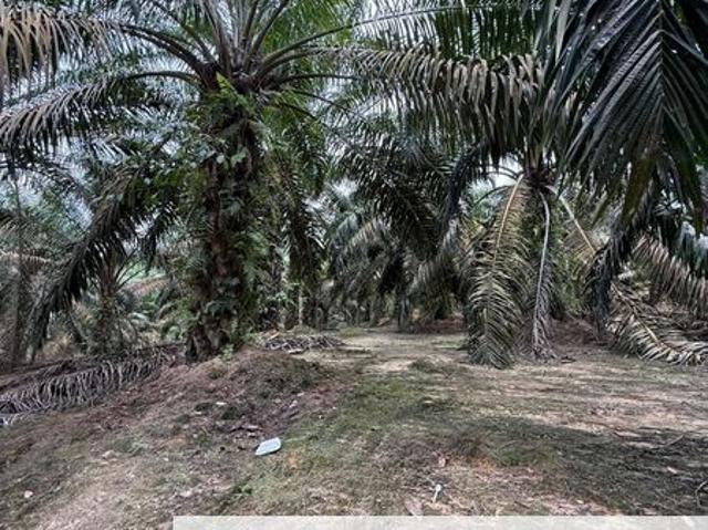 Shop for sale in Batu Pahat, Johor