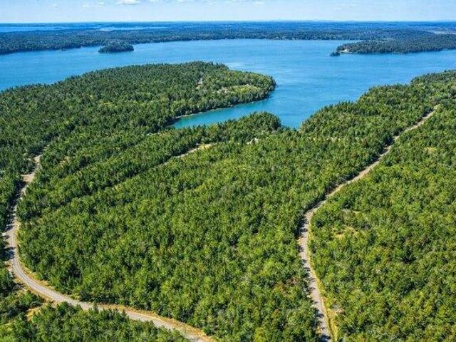 Land for sale in Machiasport, Maine