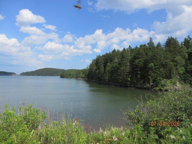 Land for sale in Machiasport, Maine