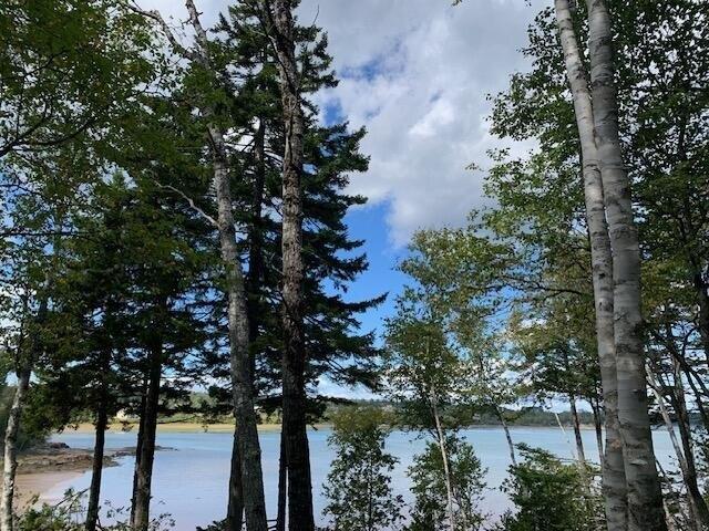 Land for sale in Machiasport, Washington County
