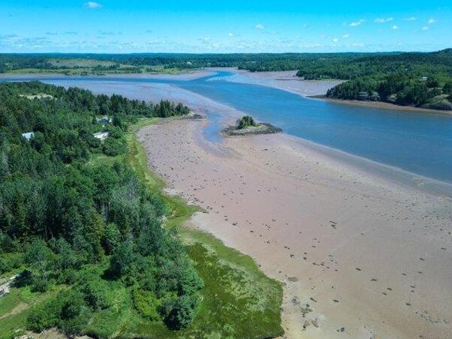 Land for sale in Machiasport, Washington County