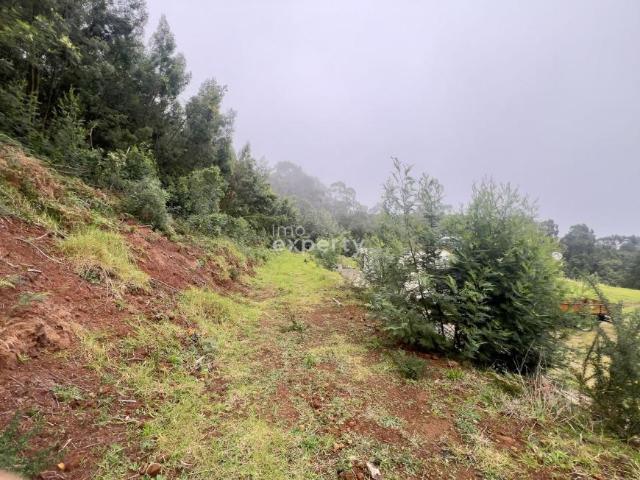 Terreno venda em Pombal, Leiria
