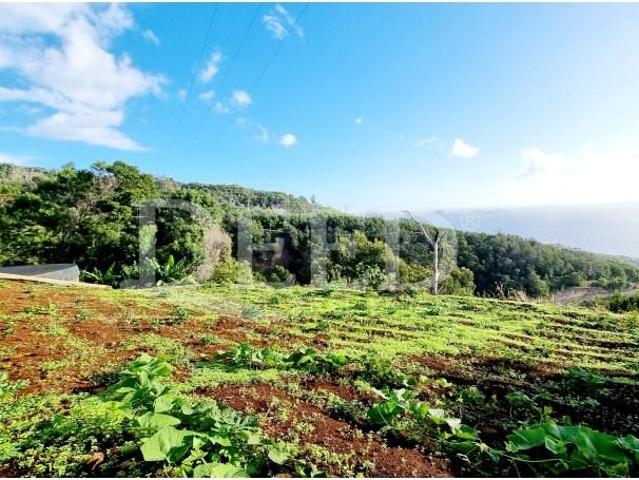 Terreno venda em Machico, Ilha Da Madeira
